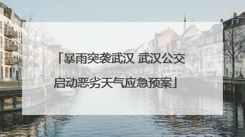 暴雨突袭武汉 武汉公交启动恶劣天气应急预案