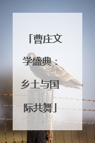 曹庄文学盛典：乡土与国际共舞