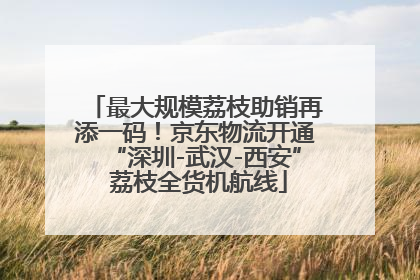 最大规模荔枝助销再添一码！京东物流开通“深圳-武汉-西安” 荔枝全货机航线