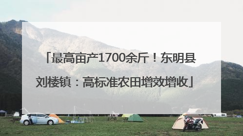 最高亩产1700余斤！东明县刘楼镇：高标准农田增效增收