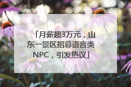 月薪超3万元，山东一景区招募语言类NPC，引发热议