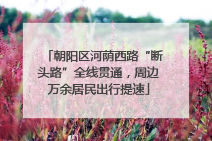 朝阳区河荫西路“断头路”全线贯通，周边万余居民出行提速