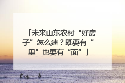 未来山东农村“好房子”怎么建？既要有“里”也要有“面”