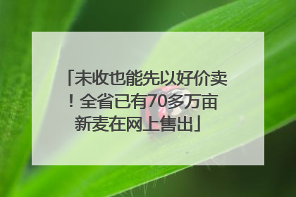 未收也能先以好价卖！全省已有70多万亩新麦在网上售出