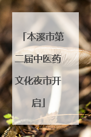 本溪市第二届中医药文化夜市开启