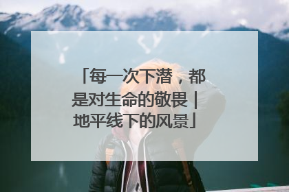 每一次下潜，都是对生命的敬畏｜地平线下的风景