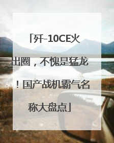 歼-10CE火出圈，不愧是猛龙！国产战机霸气名称大盘点