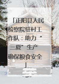 正阳县人民检察院驻村工作队：助力“三夏”生产 确保粮食安全