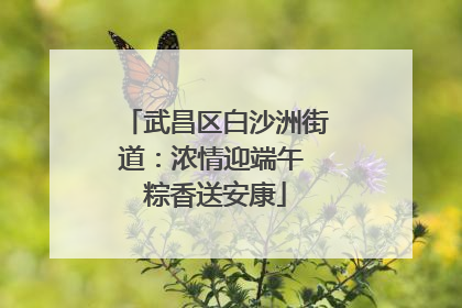 武昌区白沙洲街道：浓情迎端午 粽香送安康