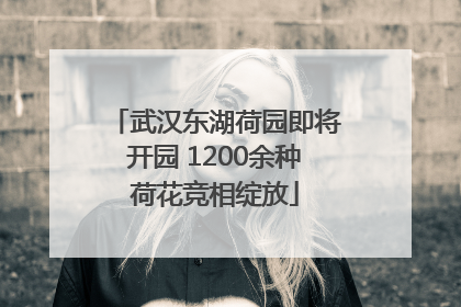 武汉东湖荷园即将开园 1200余种荷花竞相绽放