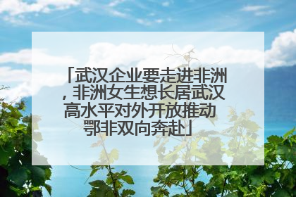 武汉企业要走进非洲，非洲女生想长居武汉 高水平对外开放推动鄂非双向奔赴