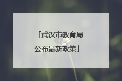 武汉市教育局公布最新政策