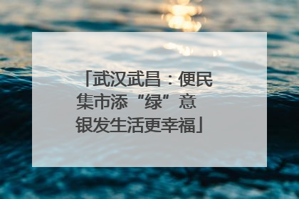 武汉武昌：便民集市添“绿”意 银发生活更幸福