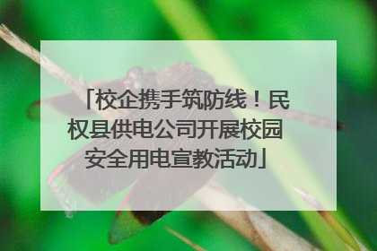 校企携手筑防线！民权县供电公司开展校园安全用电宣教活动