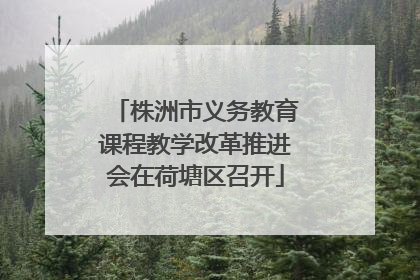 株洲市义务教育课程教学改革推进会在荷塘区召开