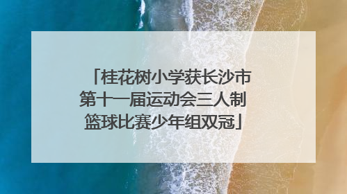 桂花树小学获长沙市第十一届运动会三人制篮球比赛少年组双冠