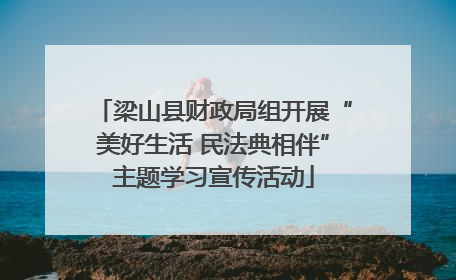 梁山县财政局组开展“美好生活 民法典相伴”主题学习宣传活动