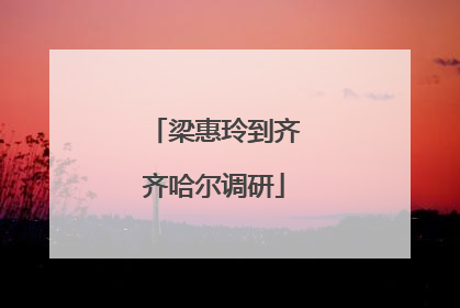 梁惠玲到齐齐哈尔调研