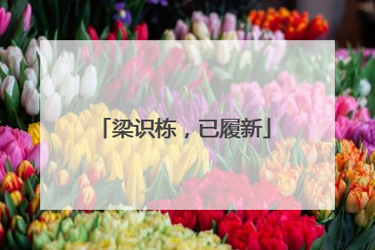 梁识栋，已履新