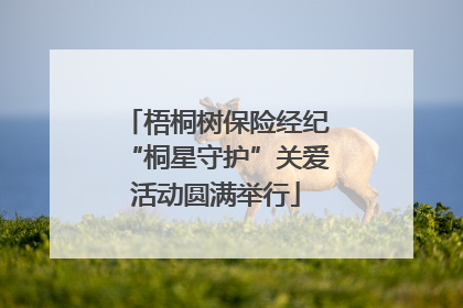 梧桐树保险经纪“桐星守护”关爱活动圆满举行