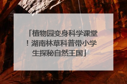 植物园变身科学课堂！湖南林草科普带小学生探秘自然王国