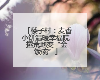 楼子村：麦香小饼温暖幸福院 撂荒地变“金饭碗”