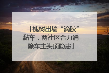 槐树出墙“滴胶”黏车，两社区合力消除车主头顶隐患