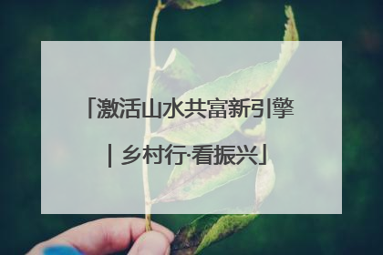 激活山水共富新引擎｜乡村行·看振兴