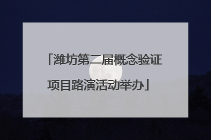 潍坊第二届概念验证项目路演活动举办
