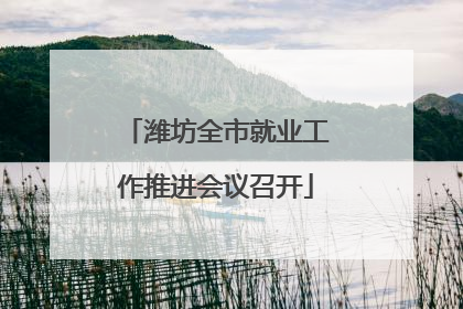 潍坊全市就业工作推进会议召开