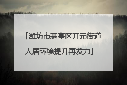 潍坊市寒亭区开元街道人居环境提升再发力