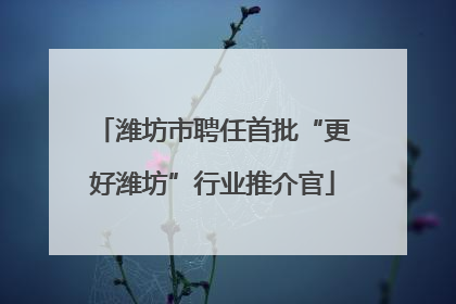 潍坊市聘任首批“更好潍坊”行业推介官