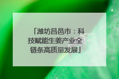 潍坊昌邑市：科技赋能生姜产业全链条高质量发展