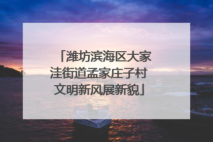 潍坊滨海区大家洼街道孟家庄子村文明新风展新貌