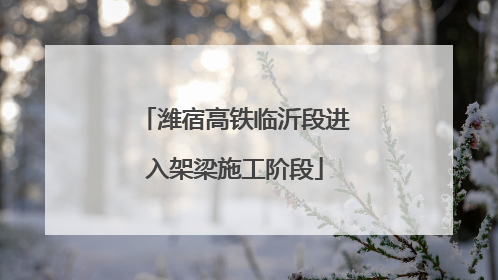 潍宿高铁临沂段进入架梁施工阶段