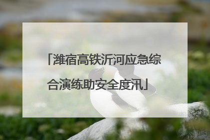潍宿高铁沂河应急综合演练助安全度汛
