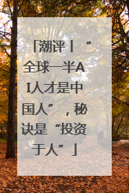 潮评丨“全球一半AI人才是中国人”，秘诀是“投资于人”