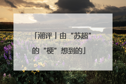 潮评丨由“苏超”的“梗”想到的