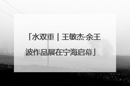 水双重｜王敏杰·余王波作品展在宁海启幕