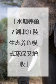 水塘养鱼？湖北江陵生态养鱼模式环保又增收