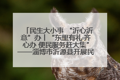 民生大小事 “沂心沂意”办丨“东里有礼·齐心办 便民服务赶大集”——淄博市沂源县开展民生政策宣传活动