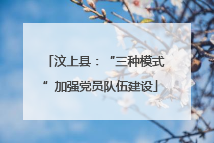 汶上县：“三种模式”加强党员队伍建设
