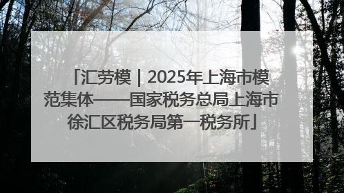 汇劳模｜2025年上海市模范集体——国家税务总局上海市徐汇区税务局第一税务所