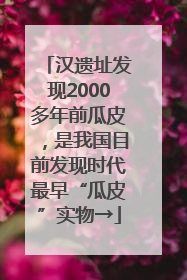 汉遗址发现2000多年前瓜皮，是我国目前发现时代最早“瓜皮”实物→