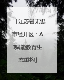 江苏省无锡市经开区：AI赋能教育生态重构