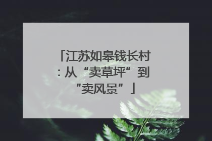 江苏如皋钱长村：从“卖草坪”到“卖风景”
