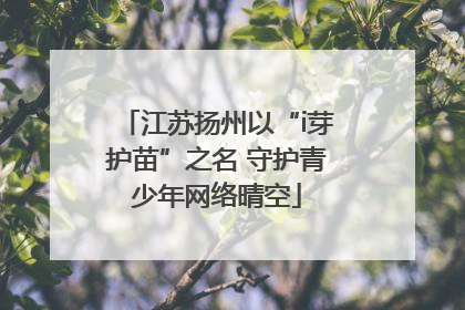 江苏扬州以“i芽护苗”之名 守护青少年网络晴空