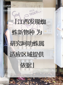 江西发现蜘蛛新物种 为研究呵叻蛛属适应区域提供依据