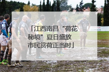 江西南昌“荷花秘境”夏日盛放 市民赏荷正当时