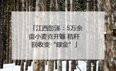 江西彭泽：5万余亩小麦喜开镰 秸秆回收变“绿金”